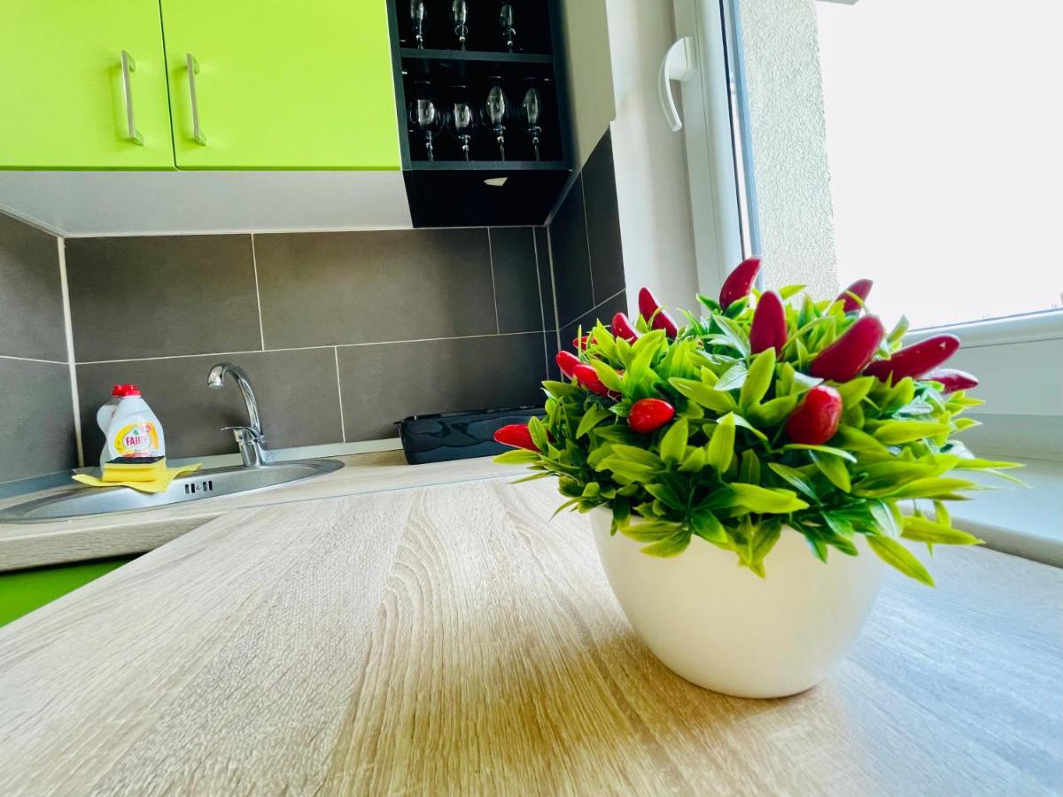 Aventurescu Studio Brasov Coresi Экстерьер фото